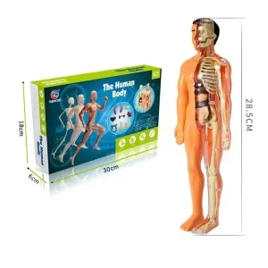 Human Body Kit